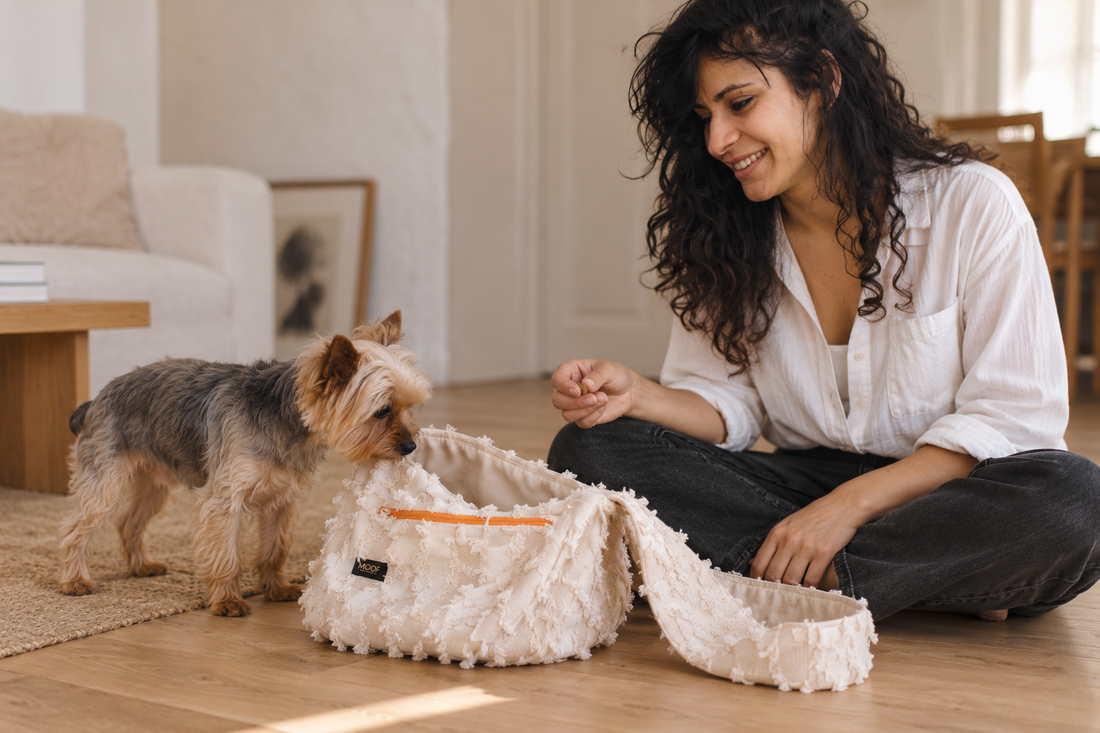 Comment habituer son chien à un sac de portage ?