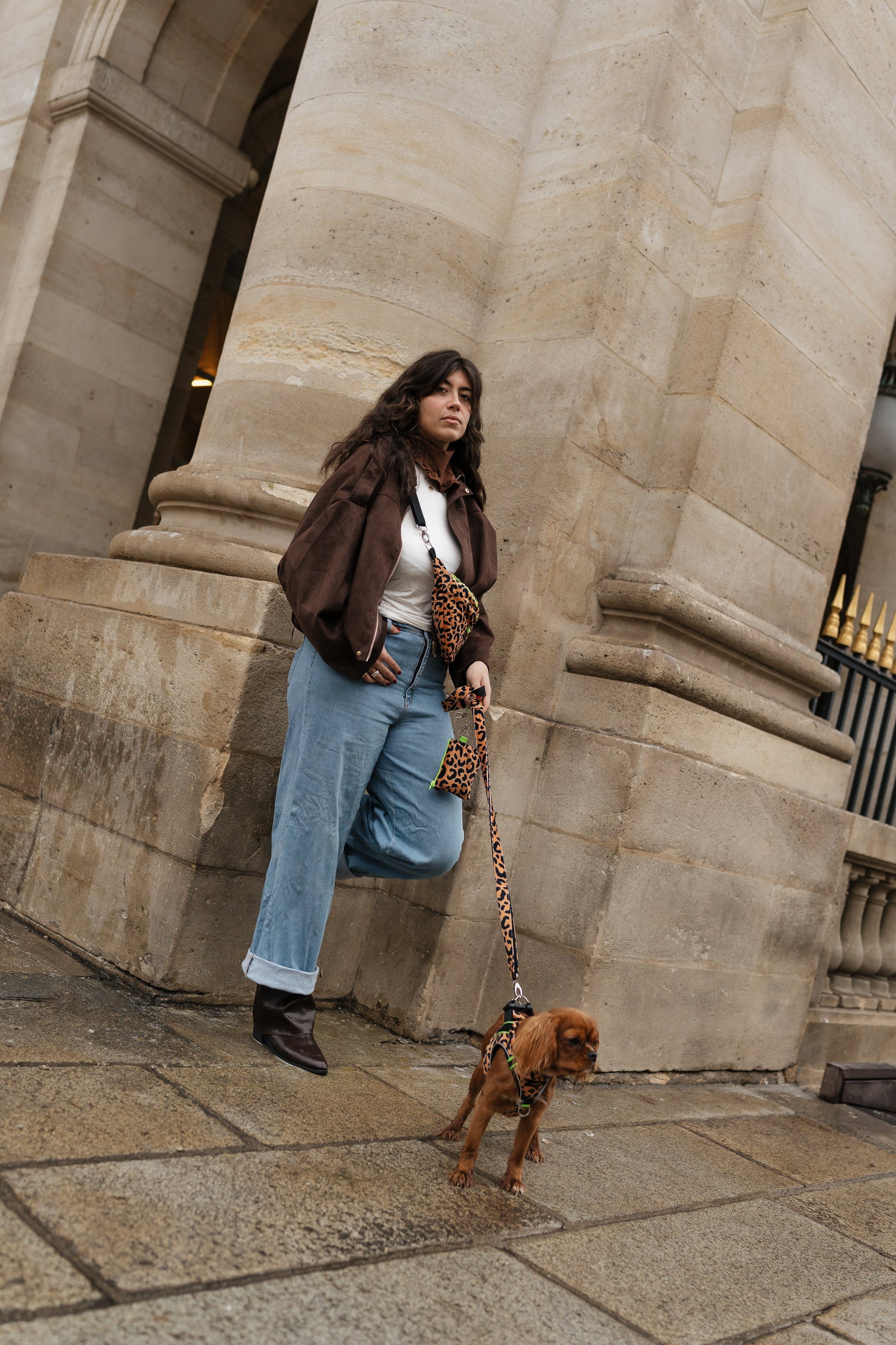 🎁 Laisse Wild (25% off)