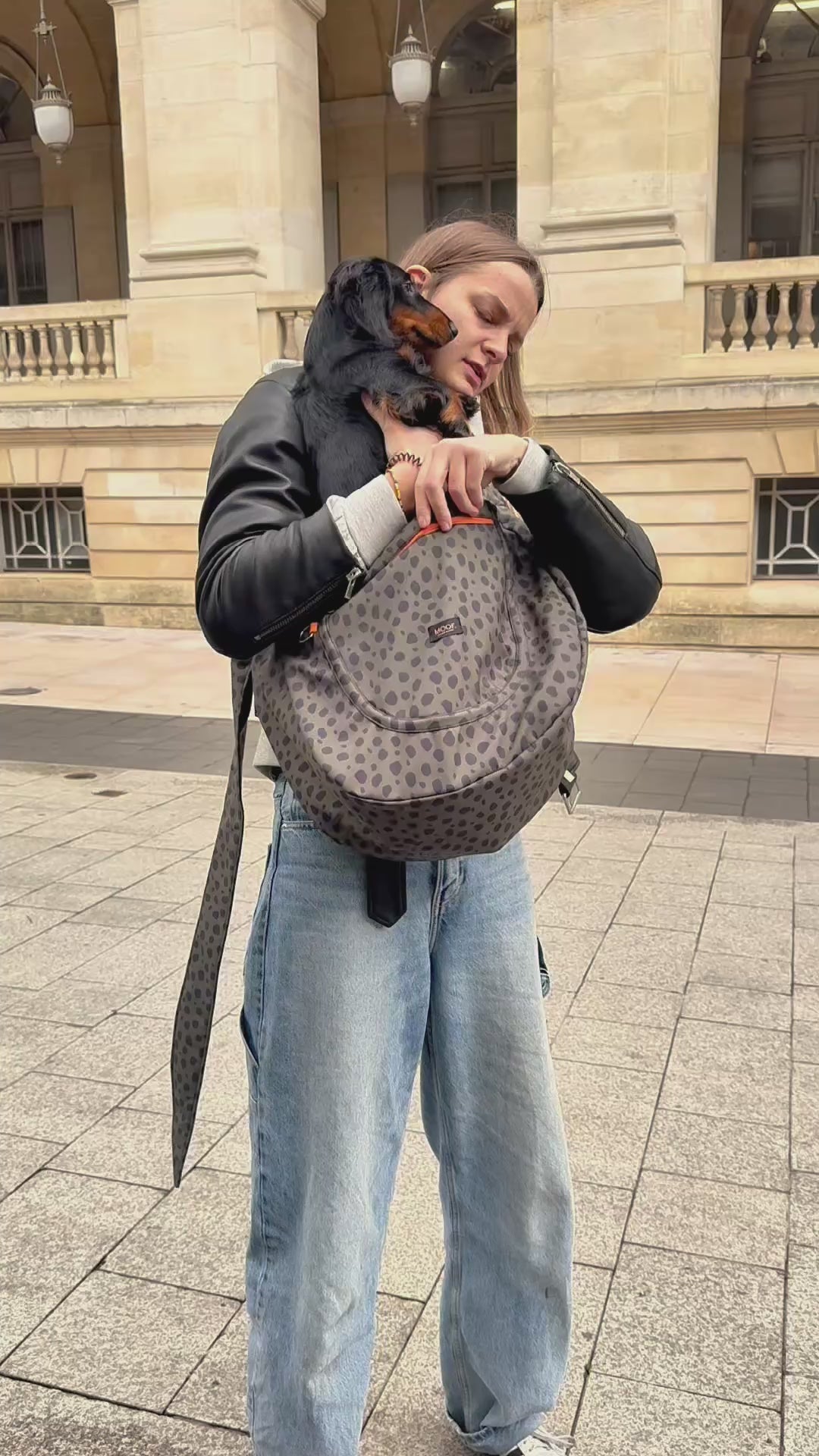 Charger la vidéo : 